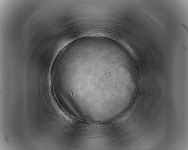 X0000096450840200801311449