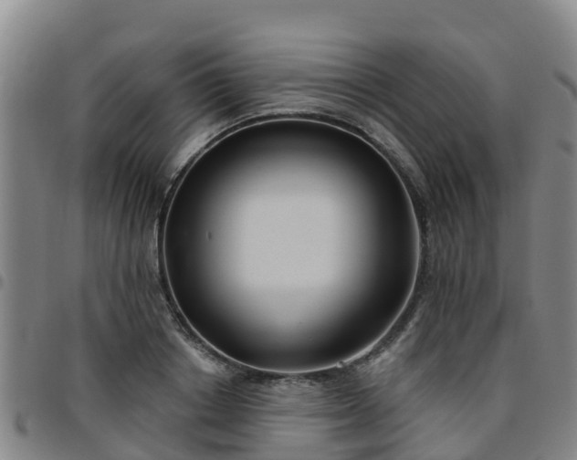 X0000096450842200801311449