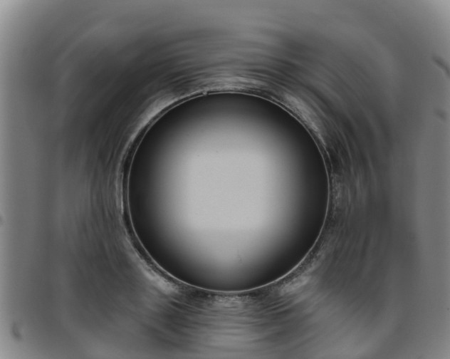 X0000096450843200801311449