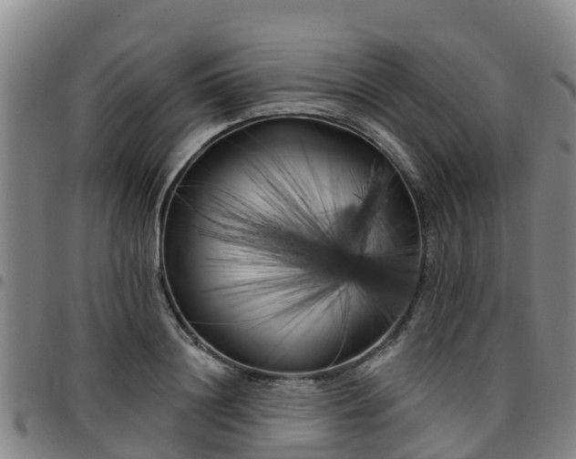 X0000096450844200801311449