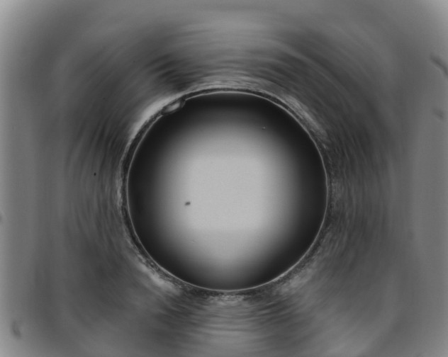 X0000096450846200801311449