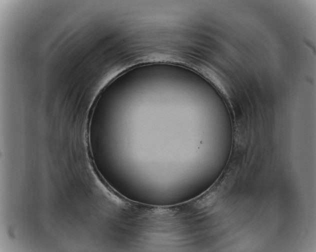 X0000096450847200801311449