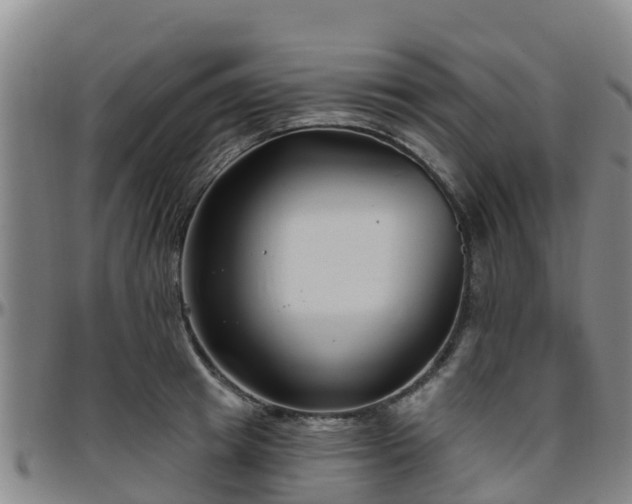 X0000096450849200801311449