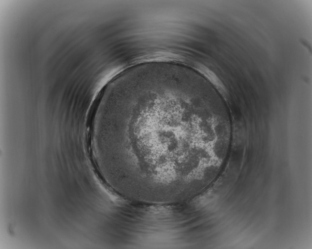 X0000096450850200801311449