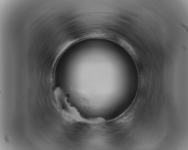 X0000096450852200801311449
