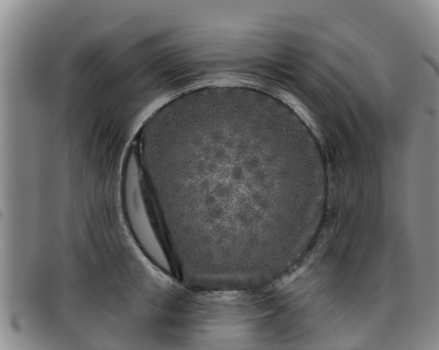 X0000096450853200801311449