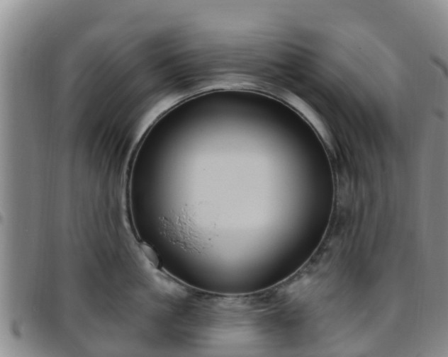 X0000096450861200801311449