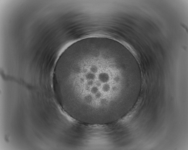 X0000096450862200801311449