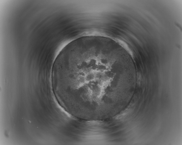 X0000096450863200801311449