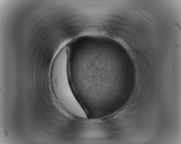 X0000096450864200801311449