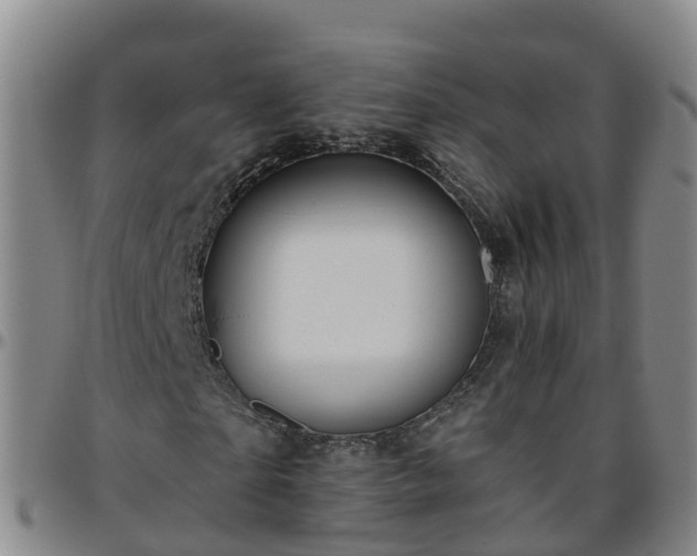 X0000096450865200801311448