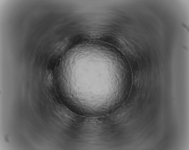 X0000096450866200801311448