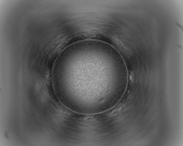 X0000096450867200801311448