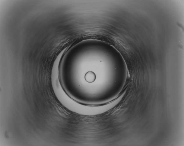 X0000096450868200801311448