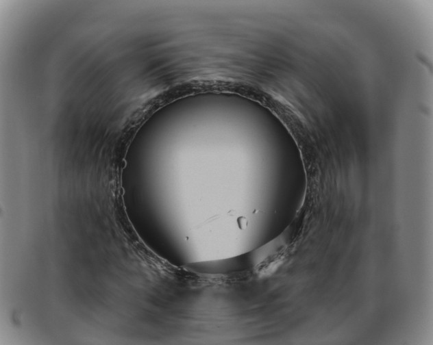 X0000096450870200801311448