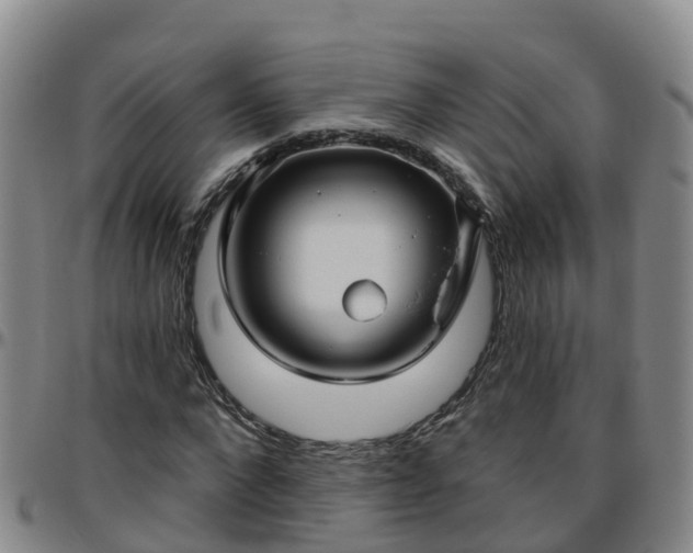 X0000096450872200801311448