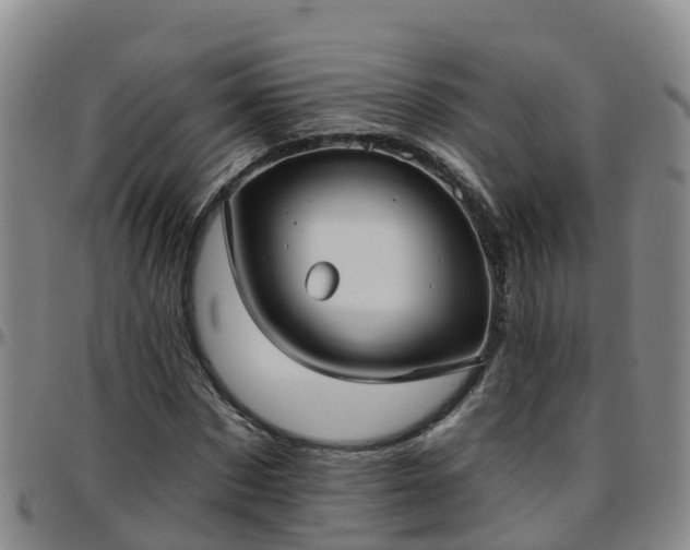 X0000096450873200801311448