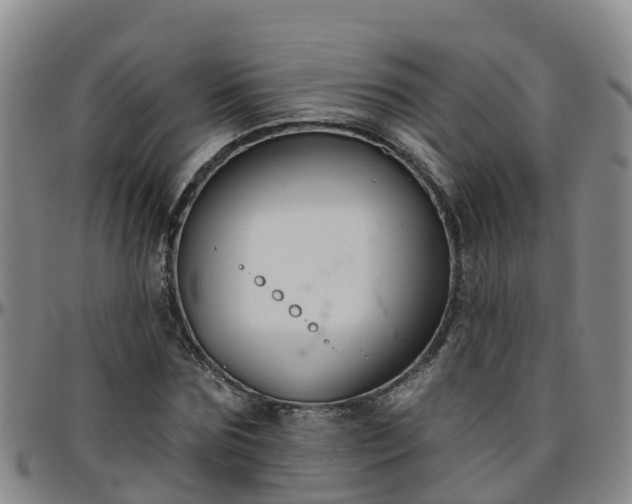 X0000096450875200801311448