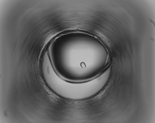 X0000096450876200801311448