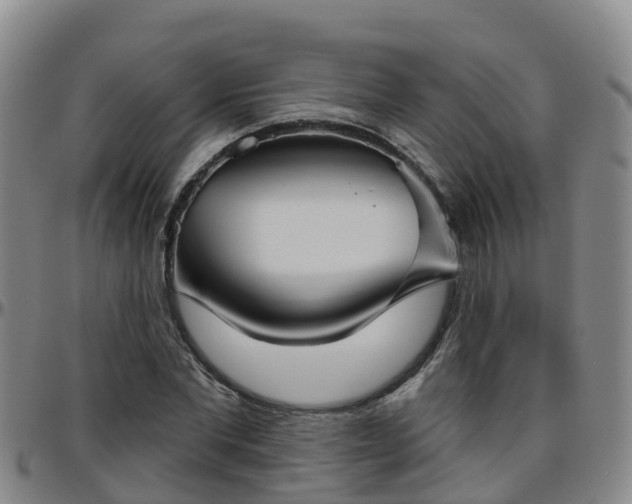 X0000096450877200801311448