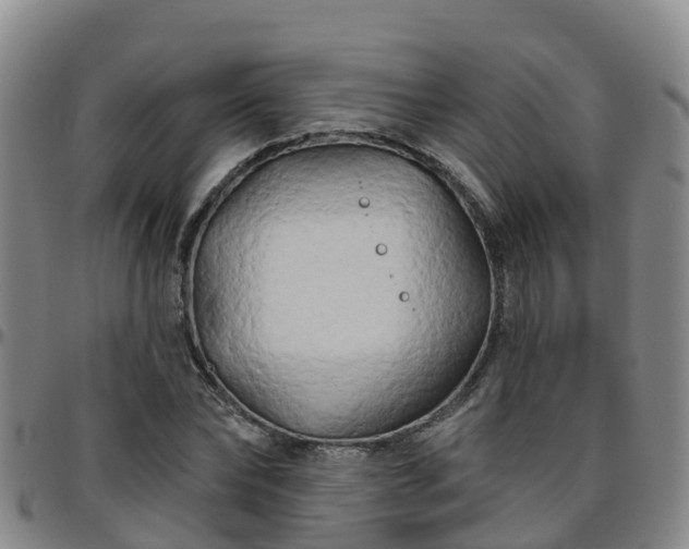X0000096450878200801311448