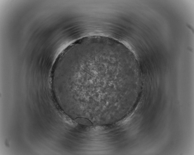 X0000096450879200801311448