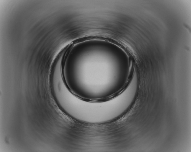 X0000096450880200801311448