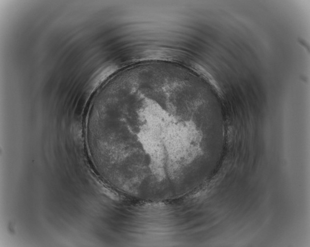 X0000096450882200801311448