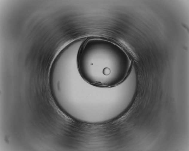 X0000096450884200801311448