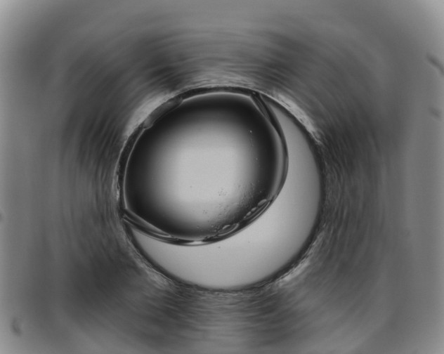 X0000096450885200801311448