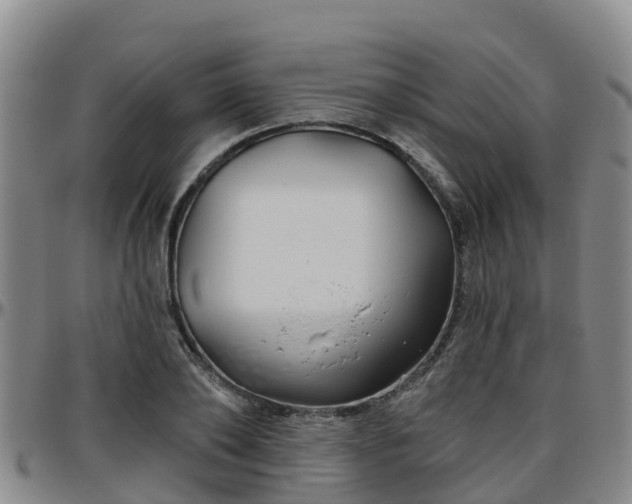 X0000096450886200801311448