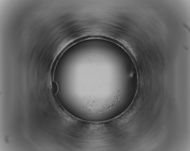 X0000096450887200801311448