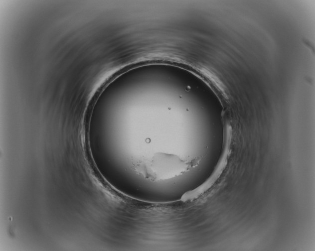X0000096450888200801311448