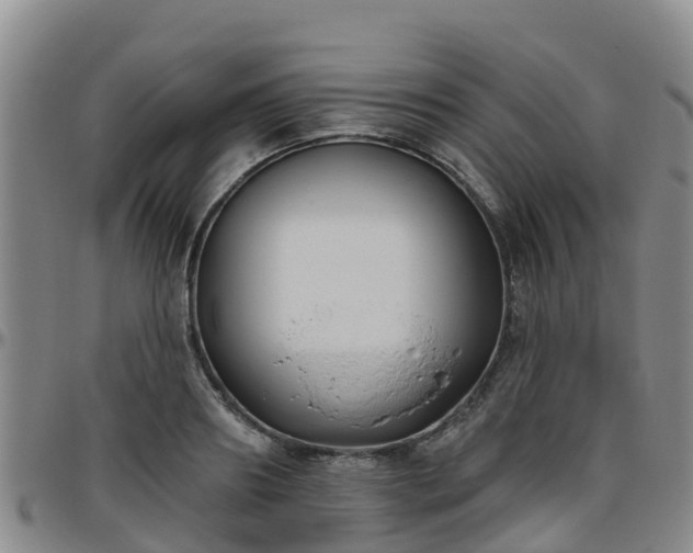 X0000096450890200801311448