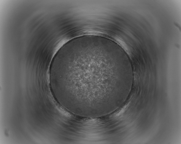 X0000096450891200801311448