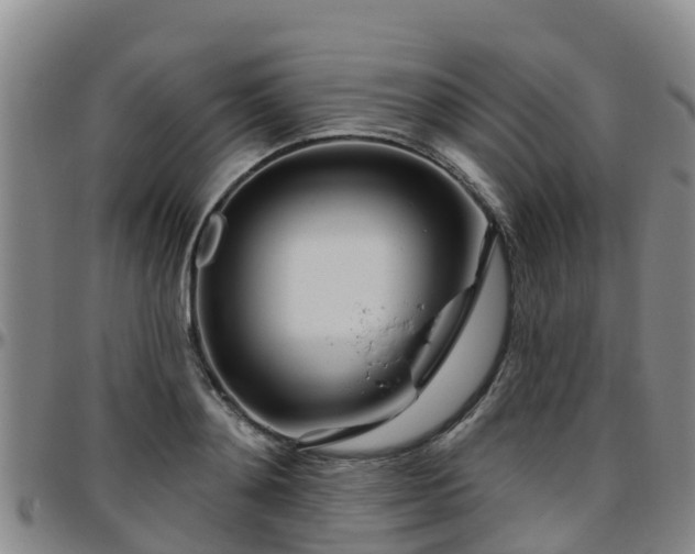 X0000096450892200801311448