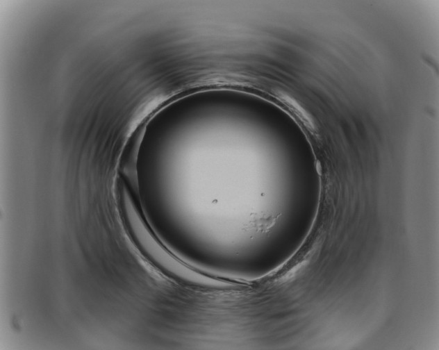 X0000096450893200801311448