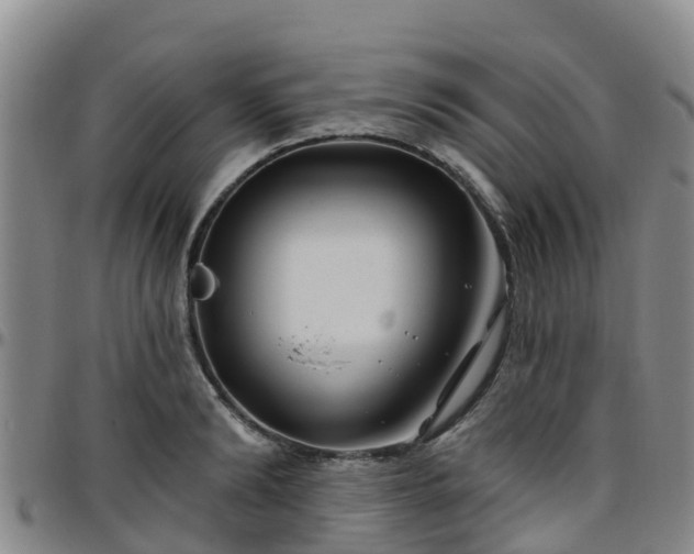 X0000096450894200801311448