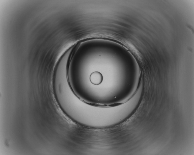 X0000096450896200801311448