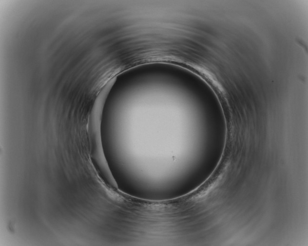 X0000096450897200801311448