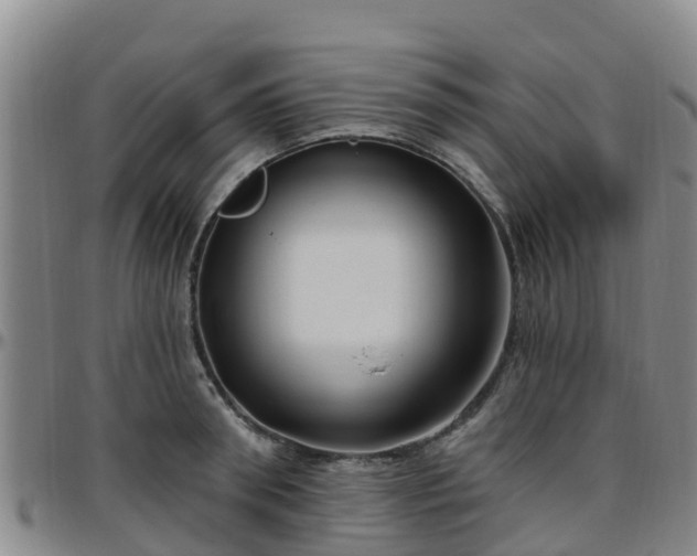 X0000096450898200801311448