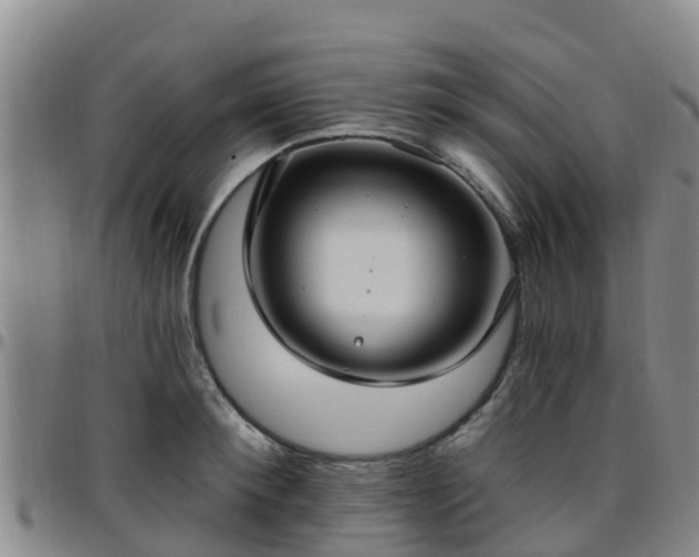 X0000096450900200801311448