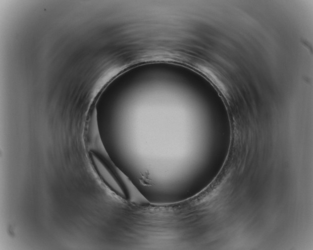 X0000096450901200801311448