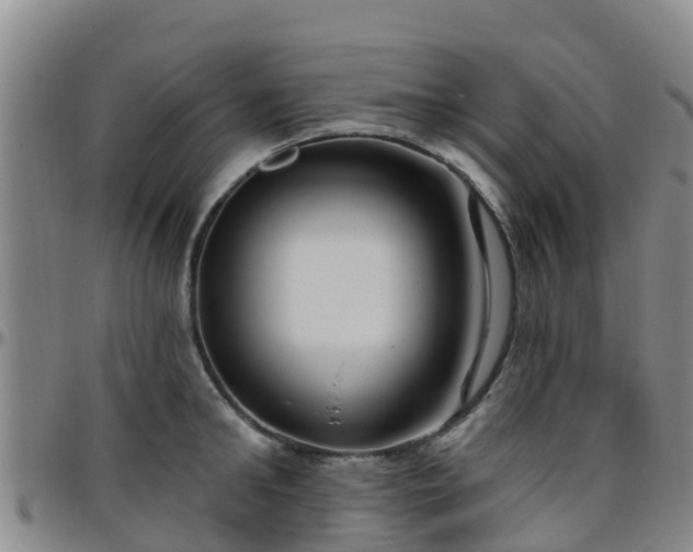 X0000096450902200801311448
