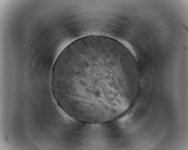 X0000096450903200801311448