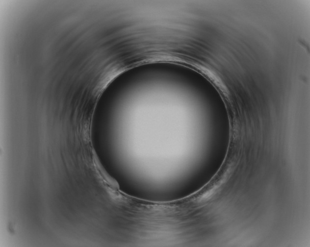 X0000096450905200801311448