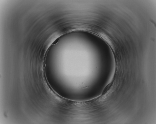 X0000096450906200801311448