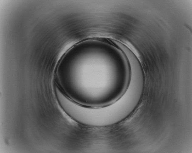 X0000096450909200801311448