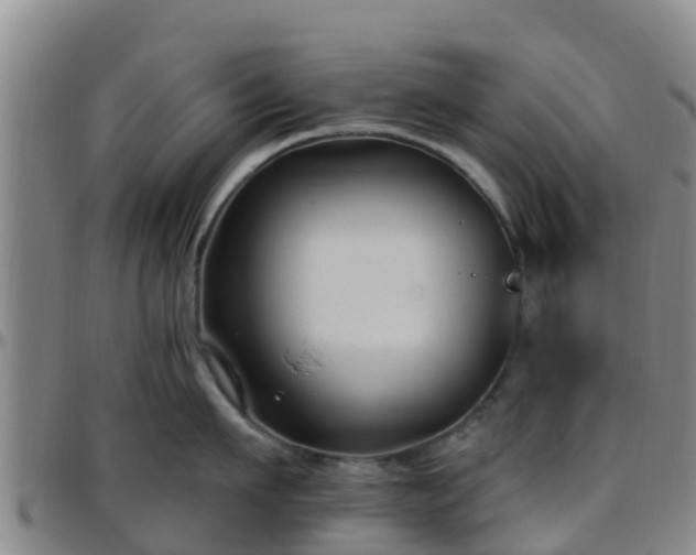 X0000096450911200801311448