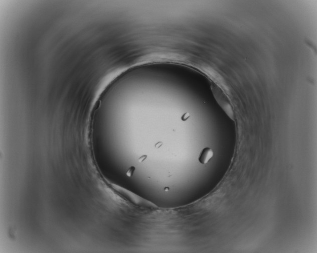X0000096450912200801311448
